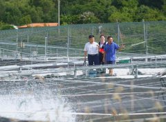 <b>推进广东省计谋性财产集群</b>